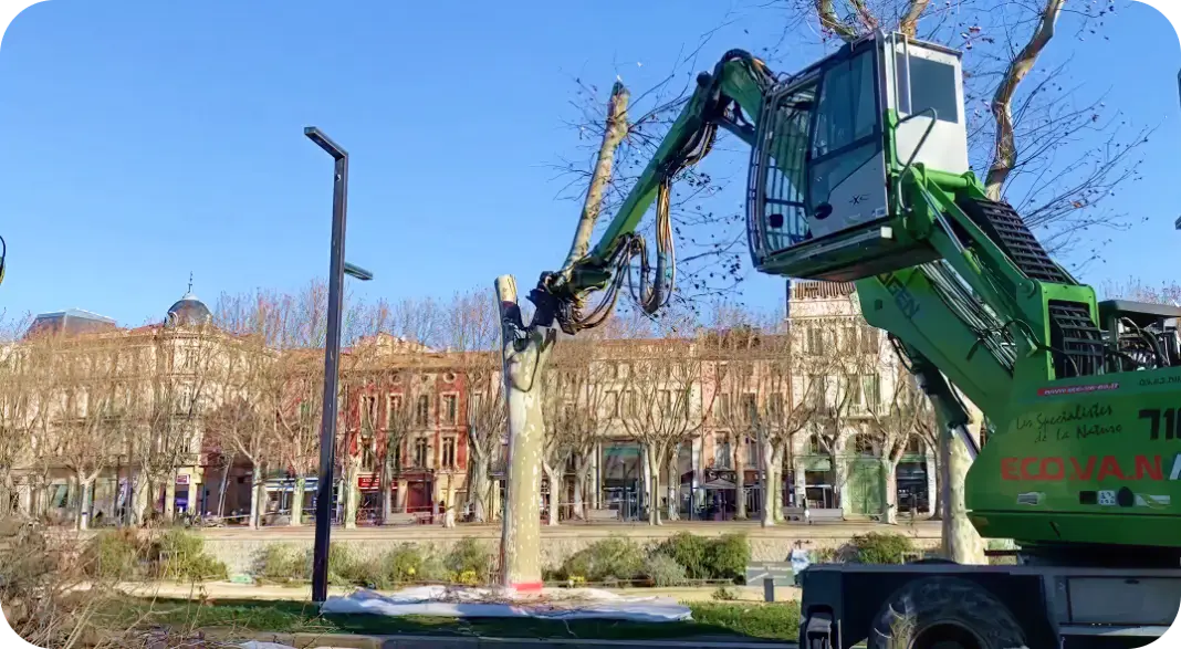Intervention d'élagage en hauteur avec nacelle par Eco.Va.Na en Occitanie