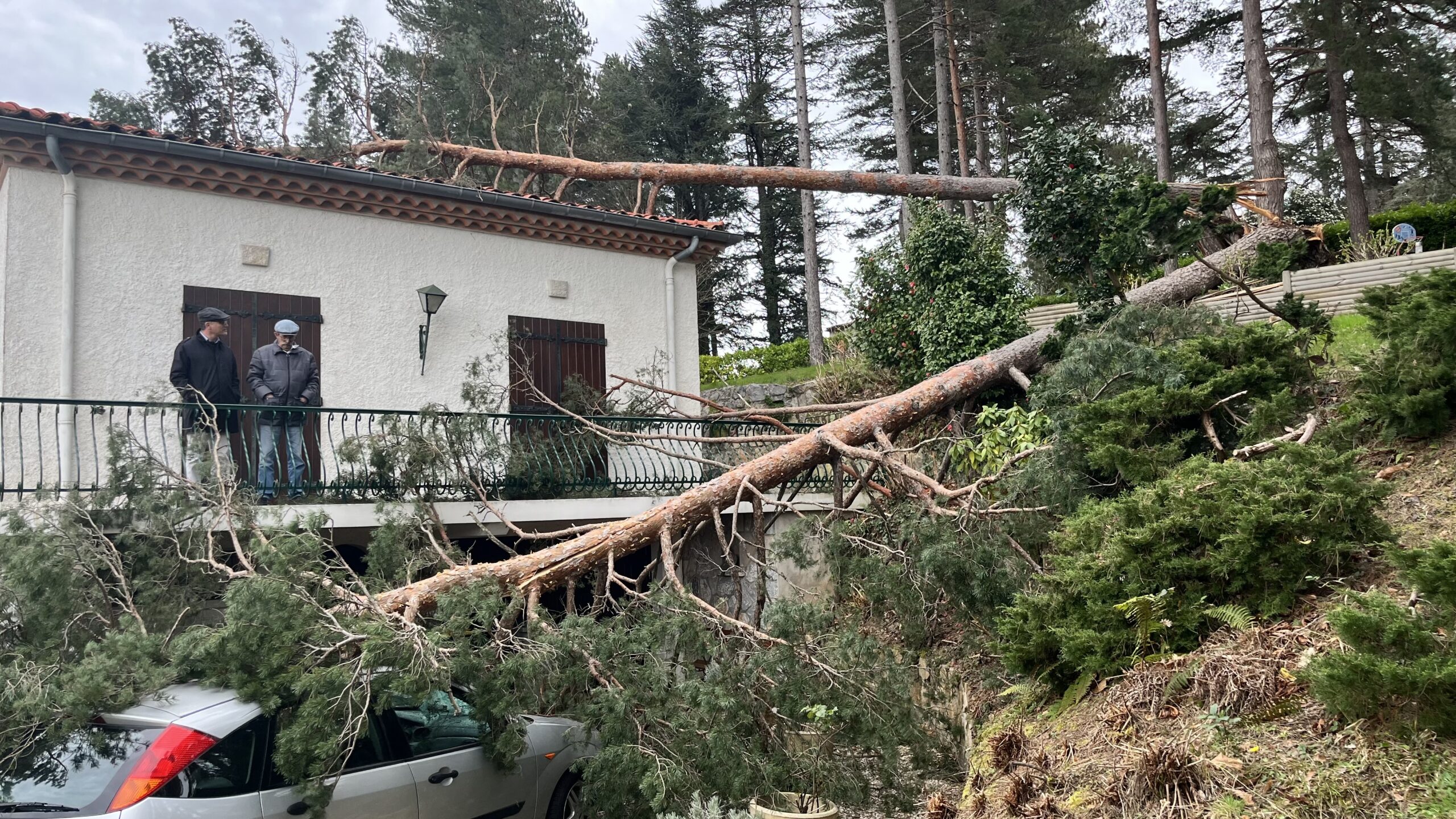 Intervention d'élagage en hauteur avec nacelle par Eco.Va.Na en Occitanie