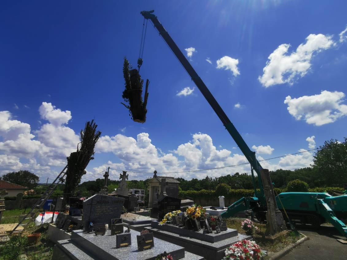 Intervention d'élagage en hauteur avec nacelle par Eco.Va.Na en Occitanie