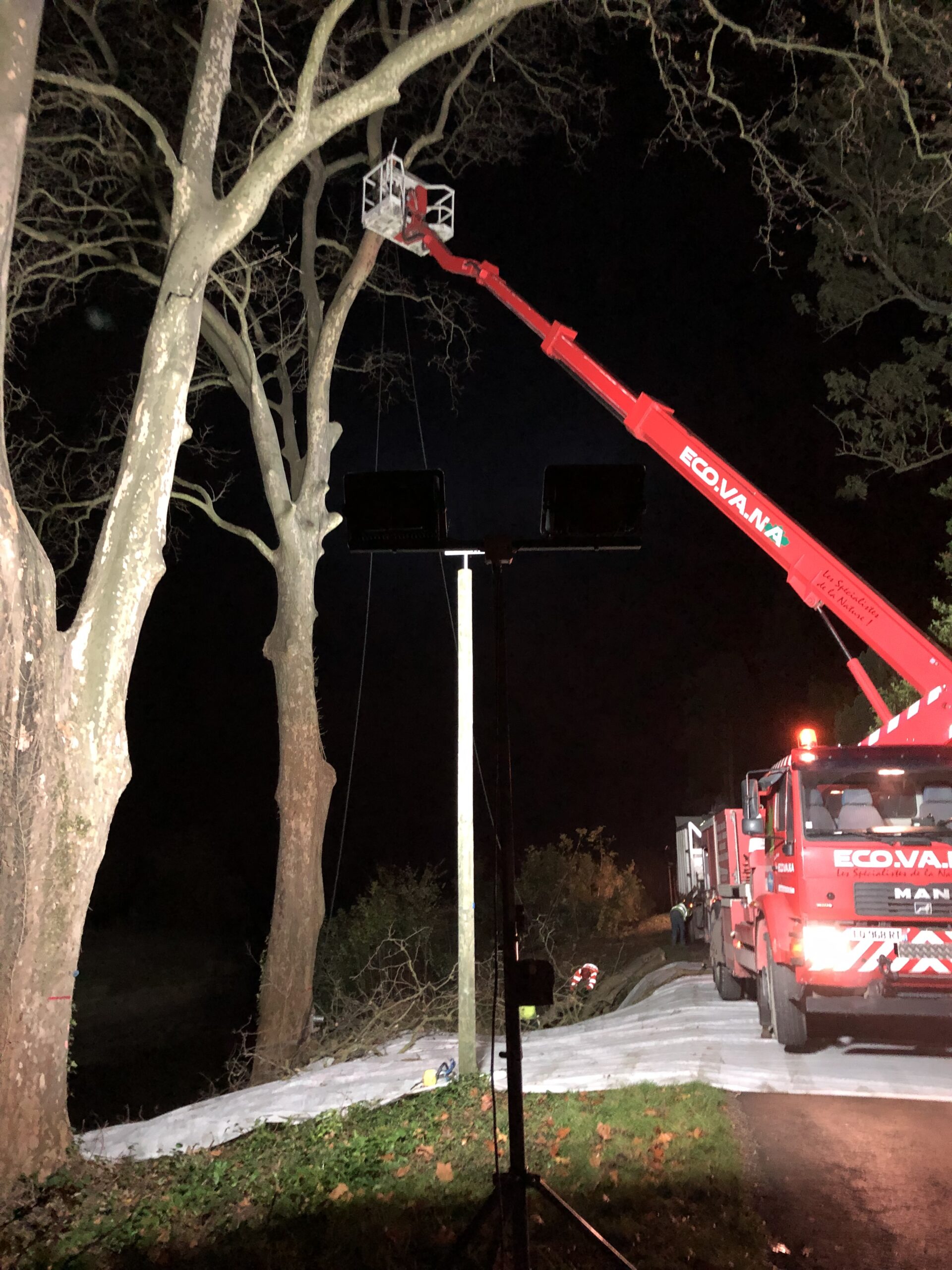 Intervention d'élagage en hauteur avec nacelle par Eco.Va.Na en Occitanie