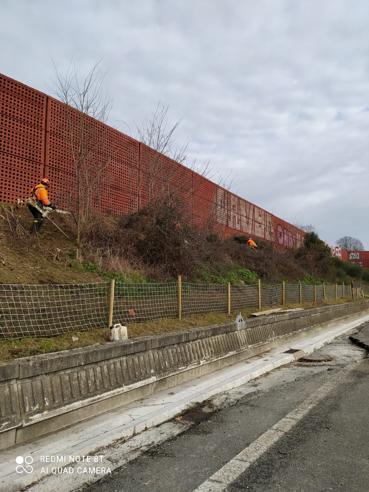 Intervention d'élagage en hauteur avec nacelle par Eco.Va.Na en Occitanie