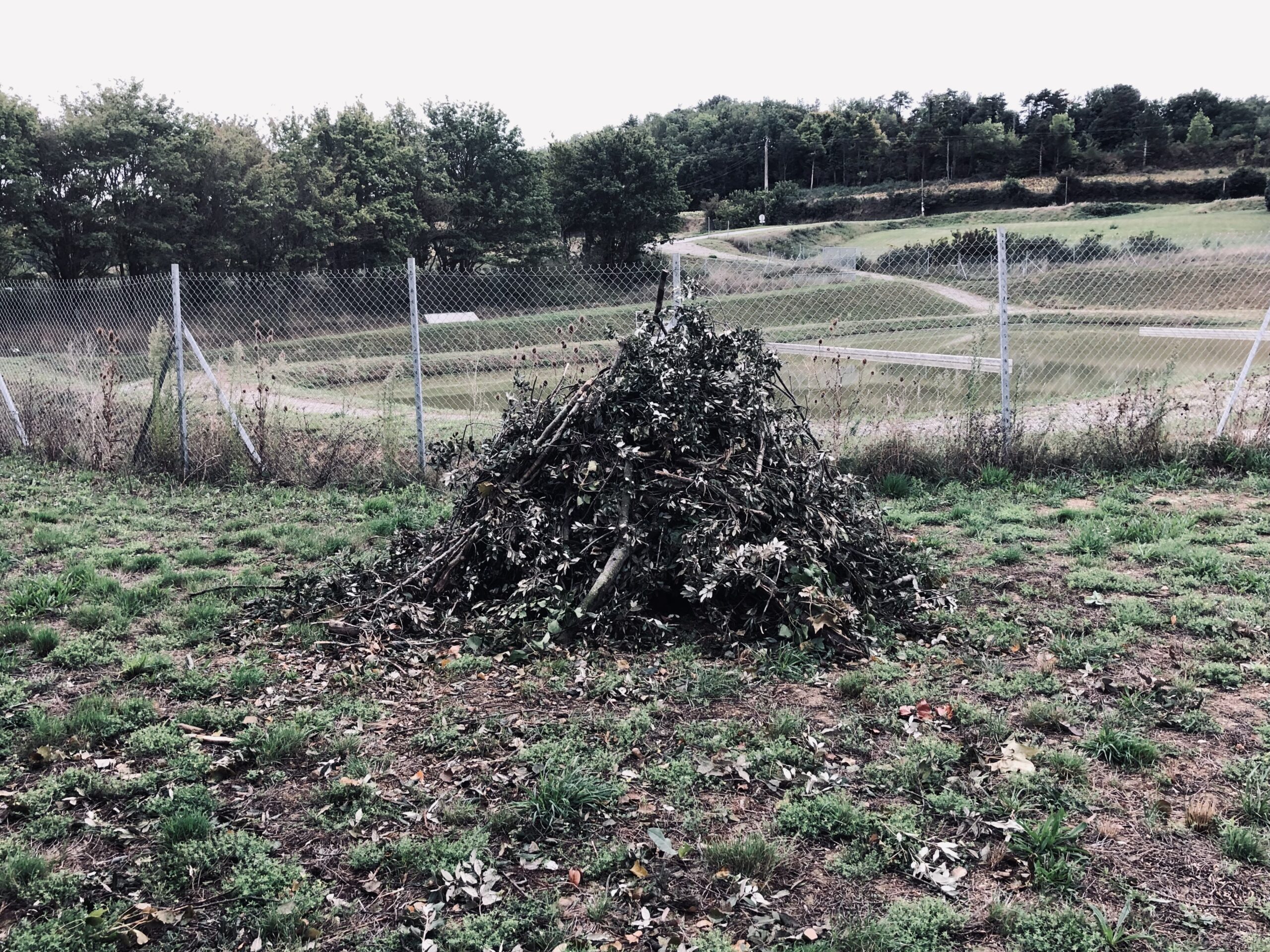 Intervention d'élagage en hauteur avec nacelle par Eco.Va.Na en Occitanie