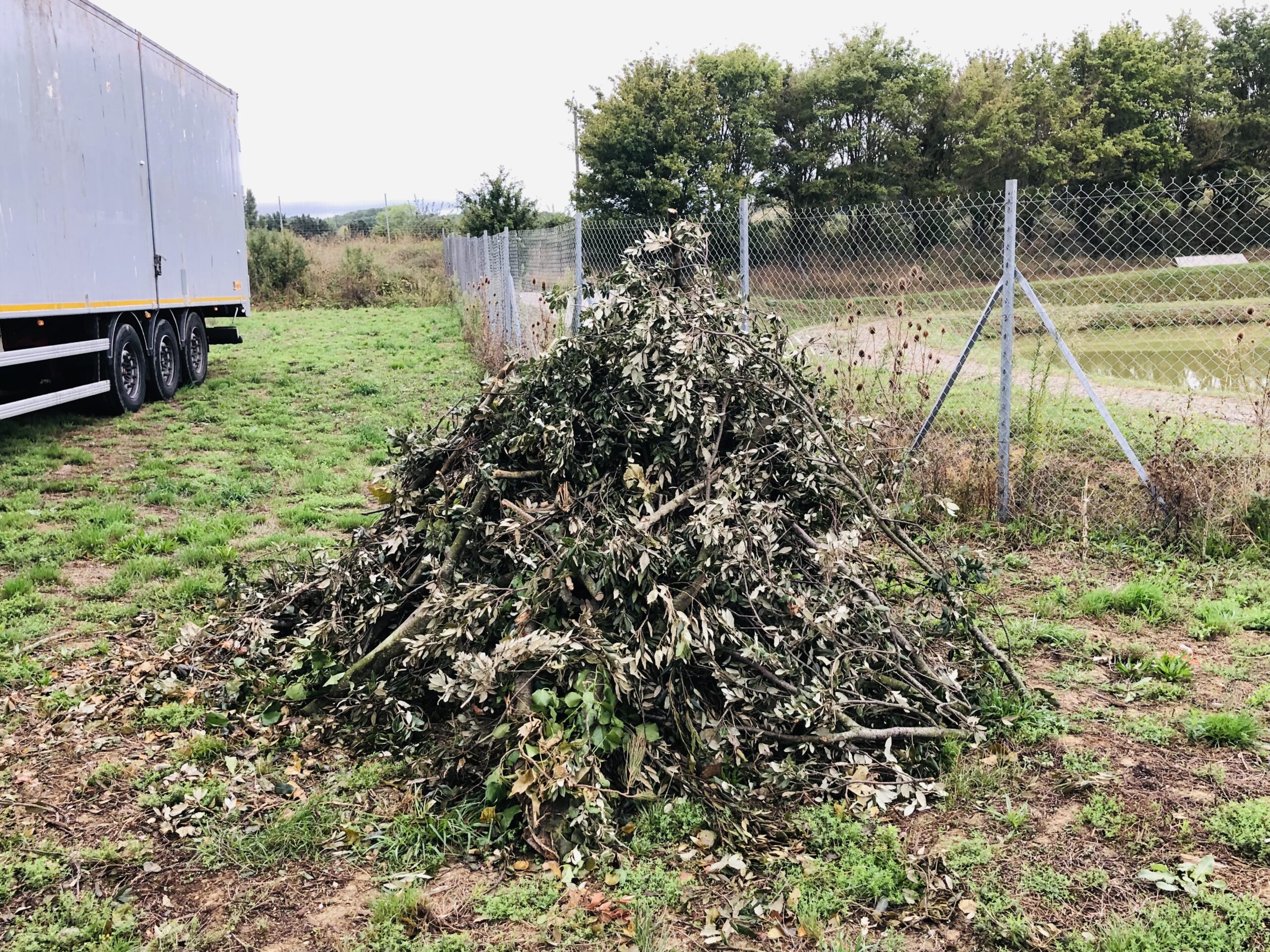 Intervention d'élagage en hauteur avec nacelle par Eco.Va.Na en Occitanie