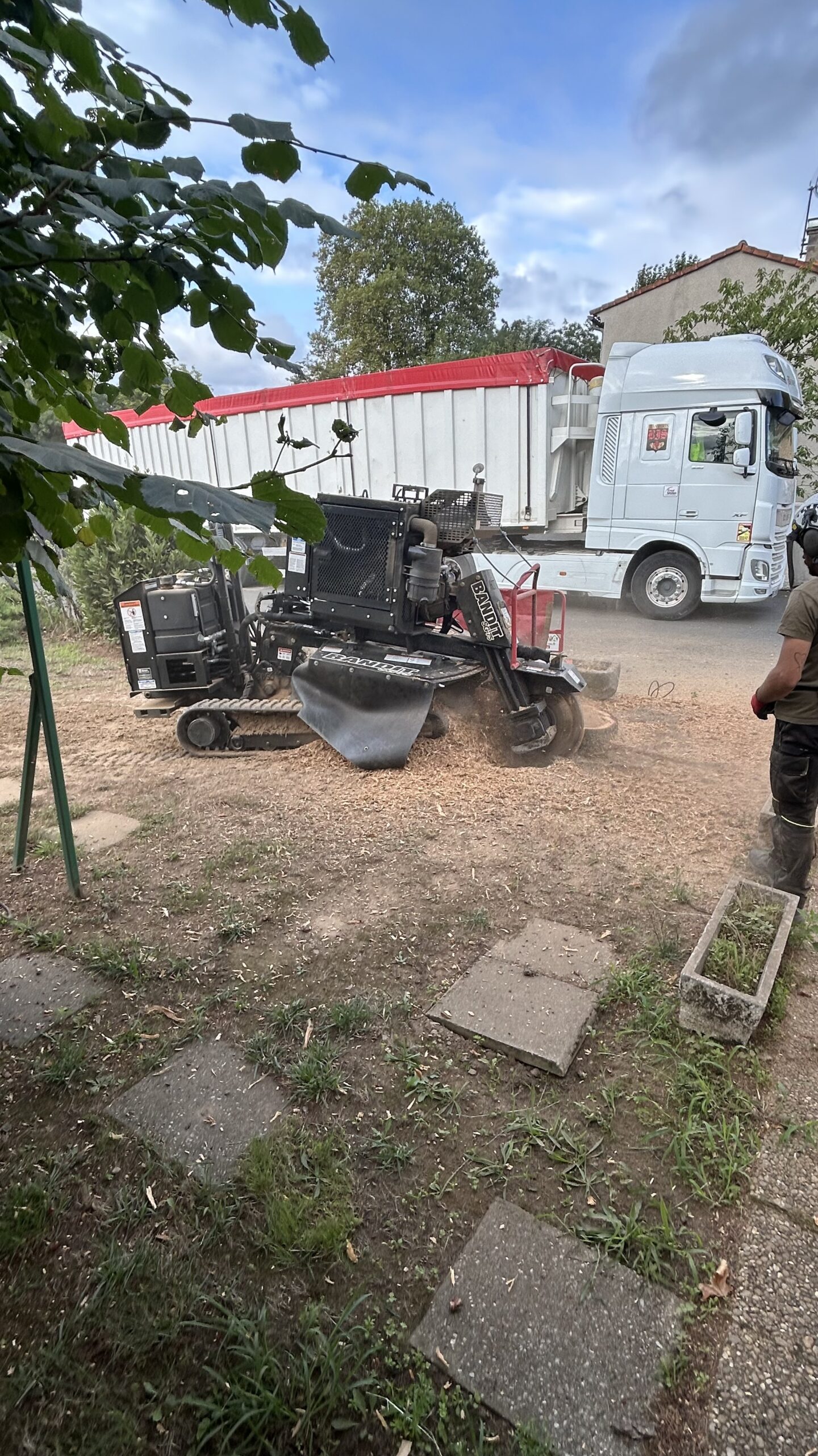 Intervention d'élagage en hauteur avec nacelle par Eco.Va.Na en Occitanie